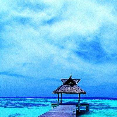 乐鱼官网-登录入口