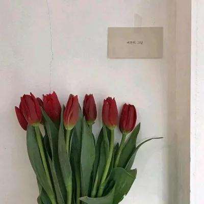 爱游戏ayx最新版